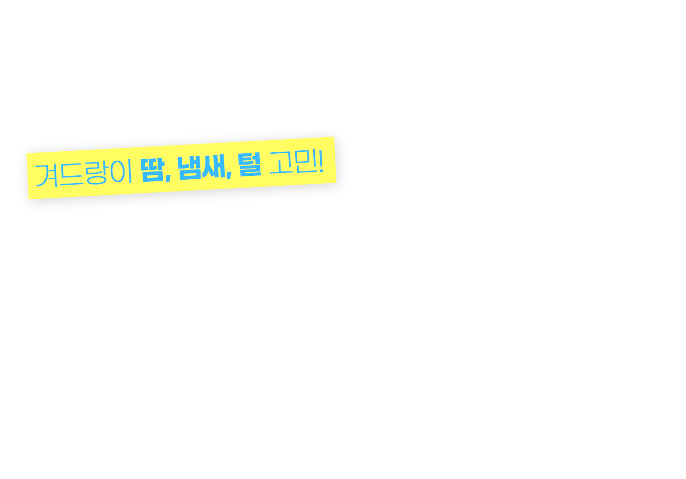 스타피부과 다한증 미라드라이 프레쉬